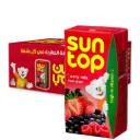 SUN TOP DRINK MIX BERRY 18*125ML - مشروب سن توب توت مشكل 18*125مل